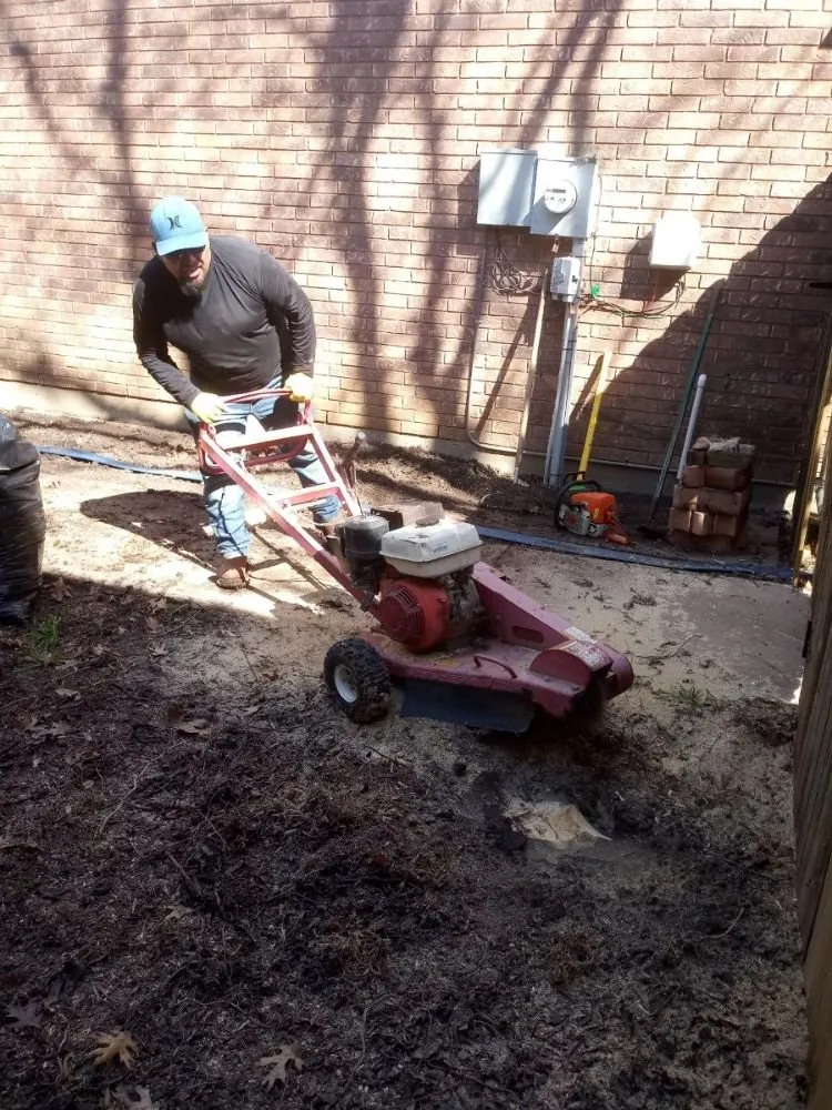 Top-rated landscape design for beautiful yards in Fort Worth, TX by Divine Grace Landscaping