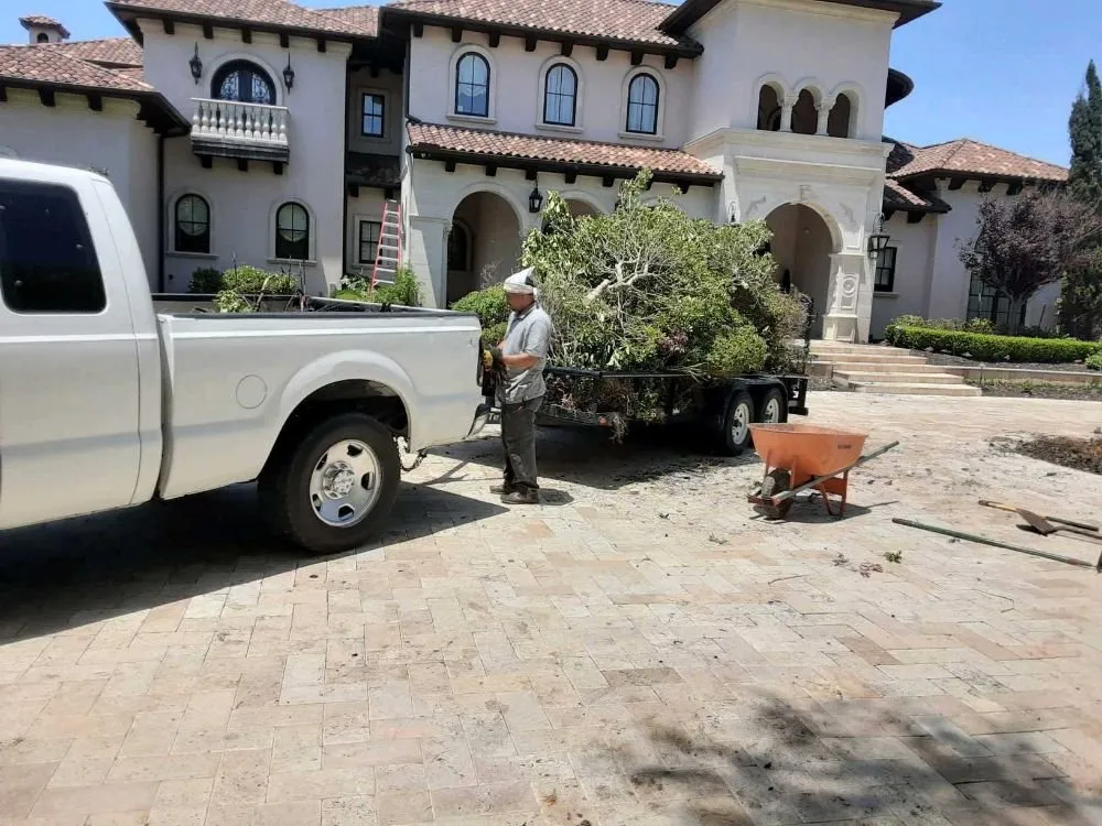 Reliable yard cleanup service in Fort Worth, TX by Divine Grace Landscaping