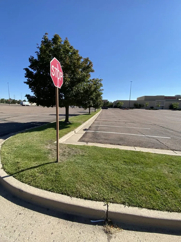 Professional yard cleanup service for beautiful yards across Colorado Springs, CO - Divine Landscape