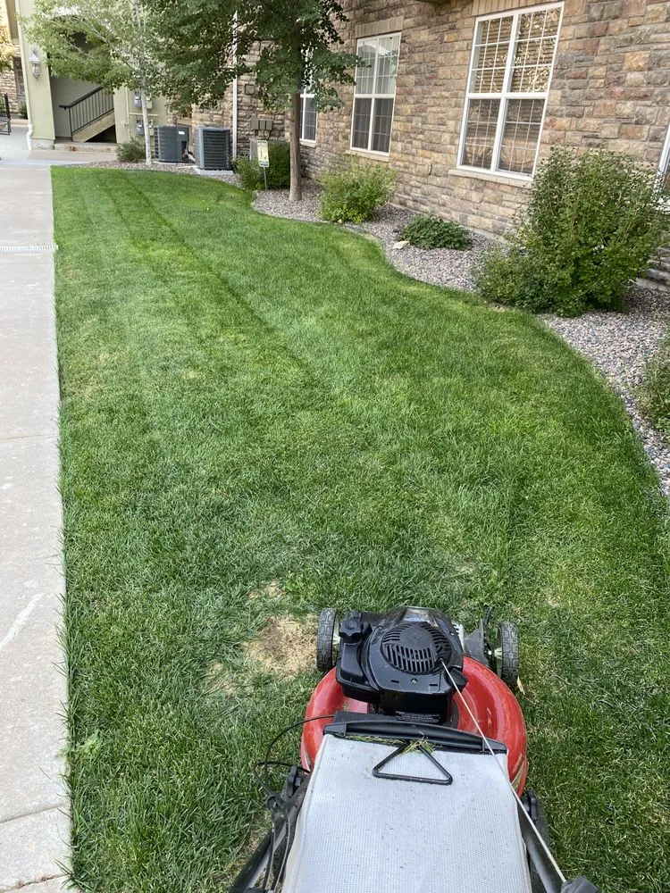 Expert lawn mowing service in Colorado Springs, CO by Divine Landscape