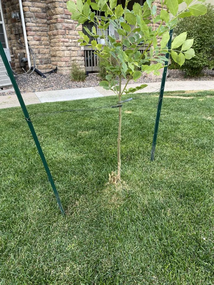 Custom landscape installation in Colorado Springs, CO - Divine Landscape