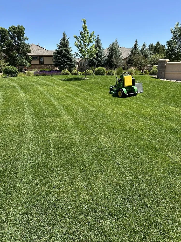 Affordable landscaping services with custom design across Colorado Springs, CO - Divine Landscape