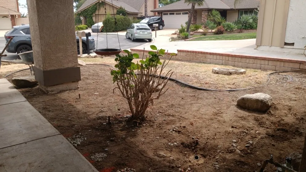 Top-rated lawn care service with custom design in Oxnard, CA by Divine Landscape