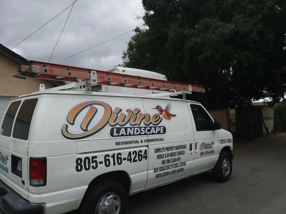 Professional yard cleanup service in Oxnard, CA by Divine Landscape