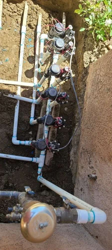 Local landscape design in Oxnard, CA by Divine Landscape