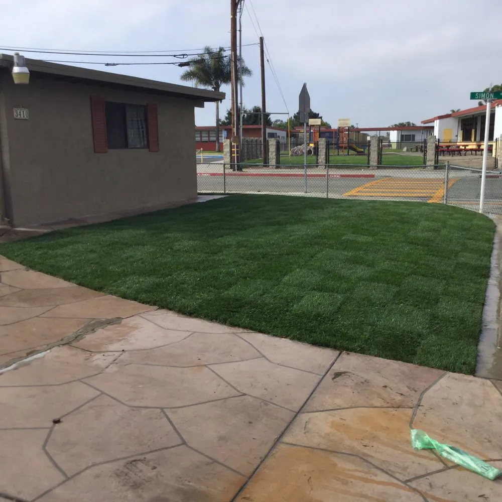 Expert yard cleanup service in Oxnard, CA - Divine Landscape