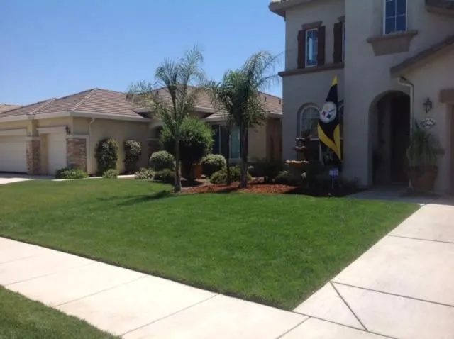 Professional yard maintenance in Visalia, CA by Divine Landscape