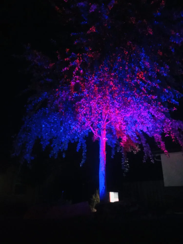 Custom landscaping services for homes across Visalia, CA - Divine Landscape