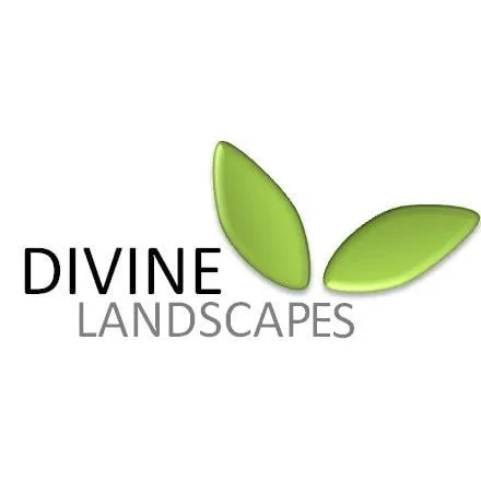 Reliable landscaping services in Visalia, CA - Divine Landscape