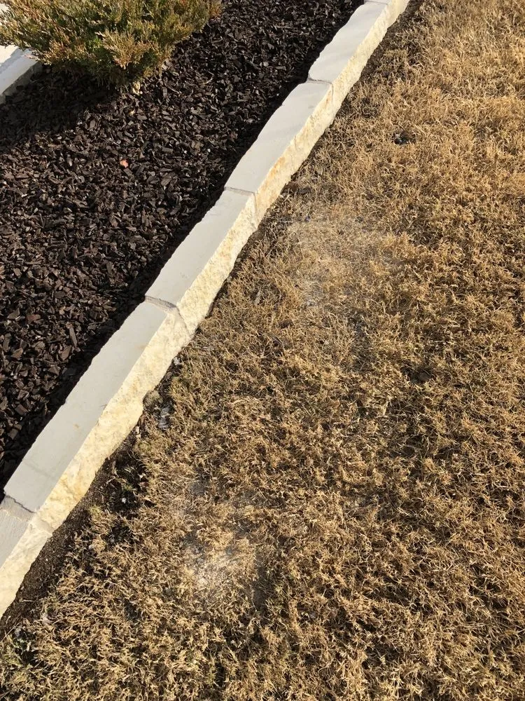 Expert outdoor landscaping experts serving Allen, TX - Divine Landscaping