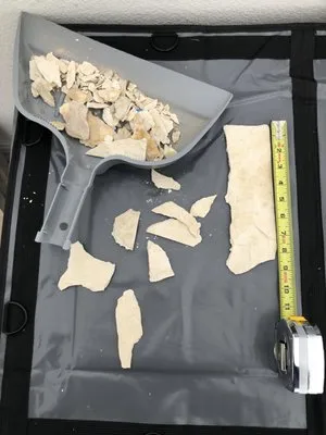 Divine Landscaping Logo