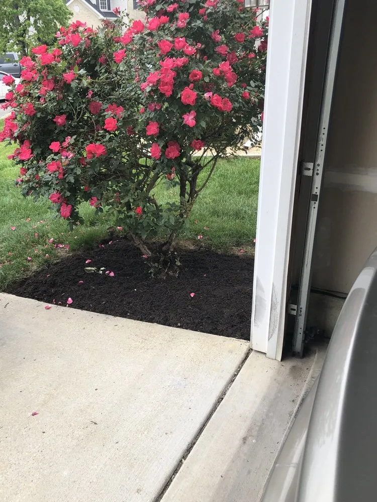 Reliable residential landscaping for residential properties across Clinton, MD - Divine Landscaping