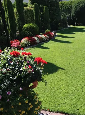 Professional yard cleanup service in Hiram, GA - Divine Landscaping