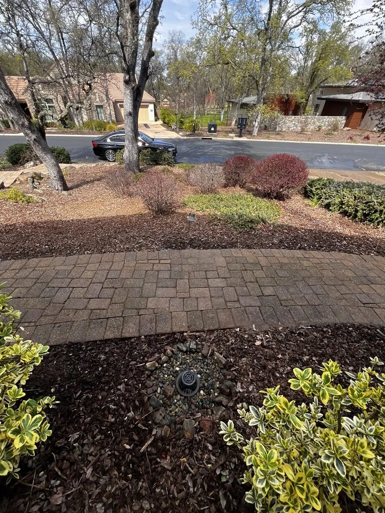 Top-rated landscape design in Huntington Beach, CA by Divine Landscaping