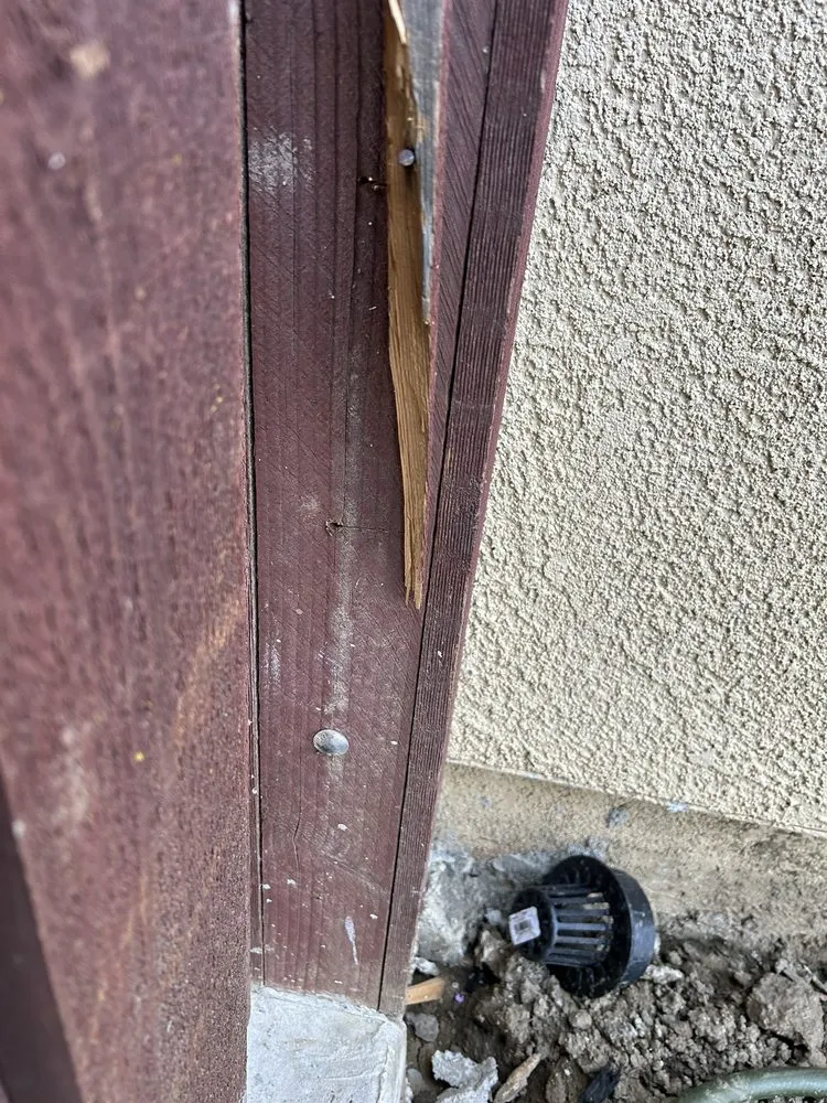 Top-rated outdoor landscaping near you in Huntington Beach, CA by Divine Landscaping