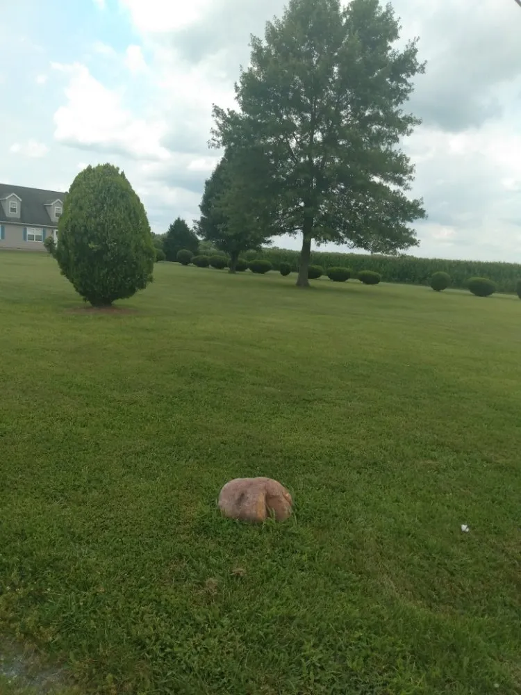 Local garden landscaping experts serving Magnolia, DE - Divine Landscaping