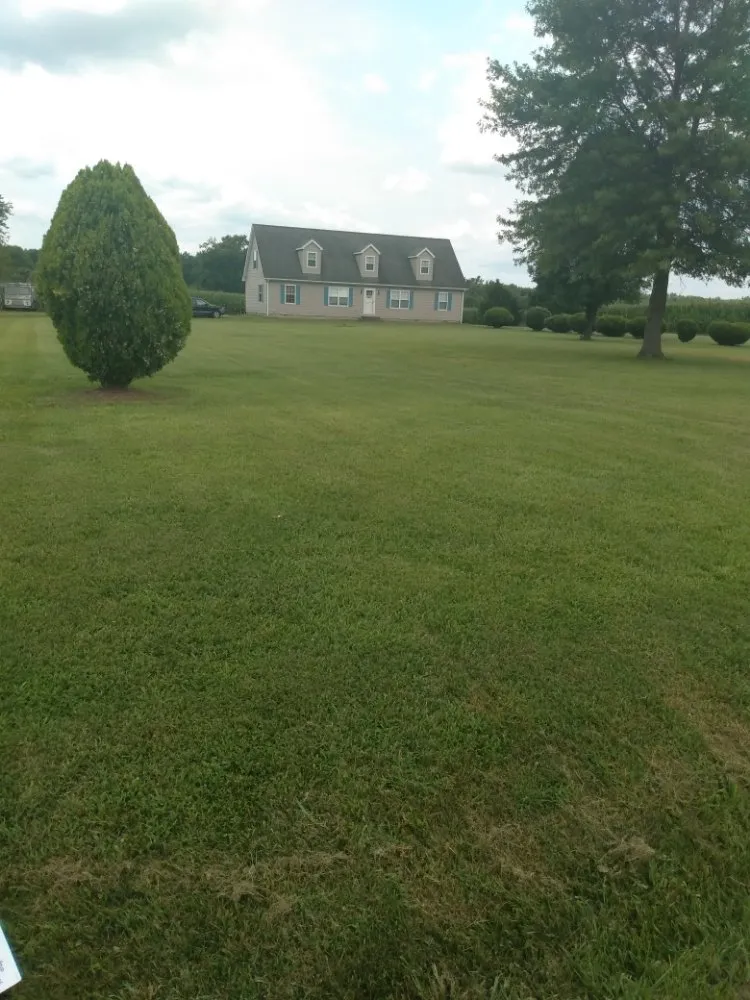 Local landscape design with custom design across Magnolia, DE - Divine Landscaping