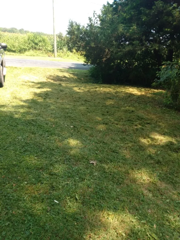 Local landscape design near you across Magnolia, DE - Divine Landscaping