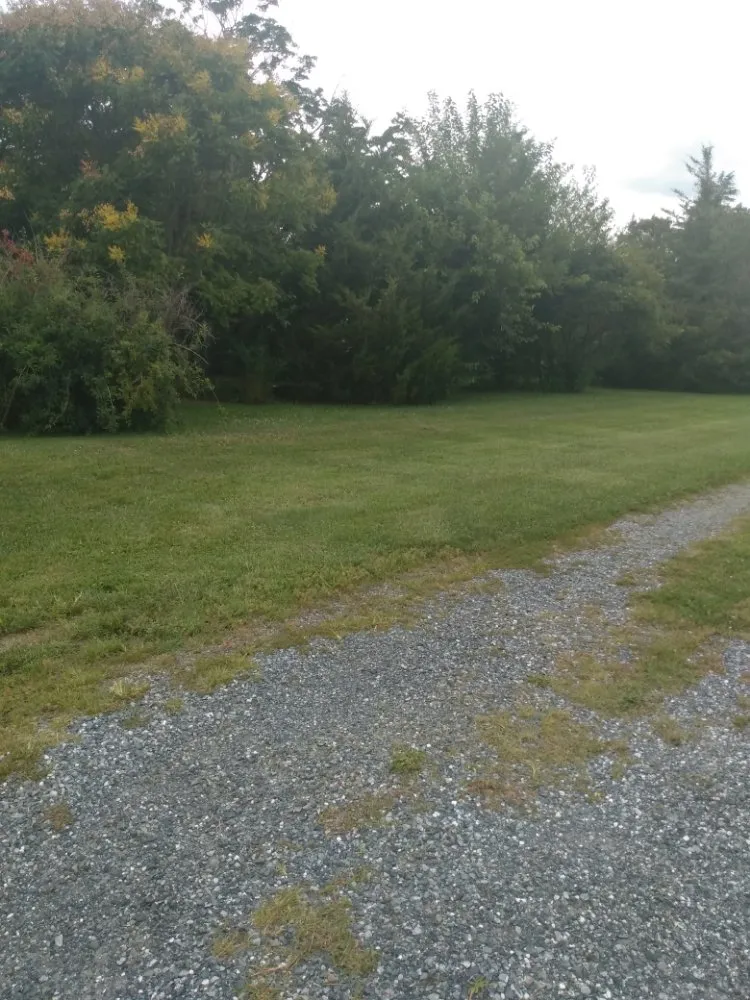 Professional lawn mowing service in Magnolia, DE by Divine Landscaping
