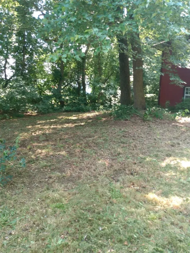 Professional garden landscaping for homes in Magnolia, DE by Divine Landscaping