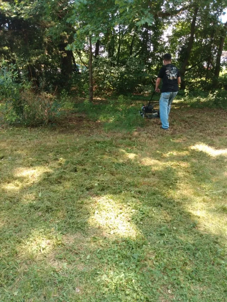 Local yard cleanup service with custom design in Magnolia, DE by Divine Landscaping