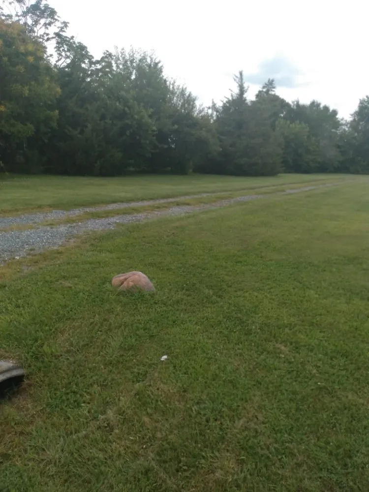 Custom yard cleanup service in Magnolia, DE by Divine Landscaping