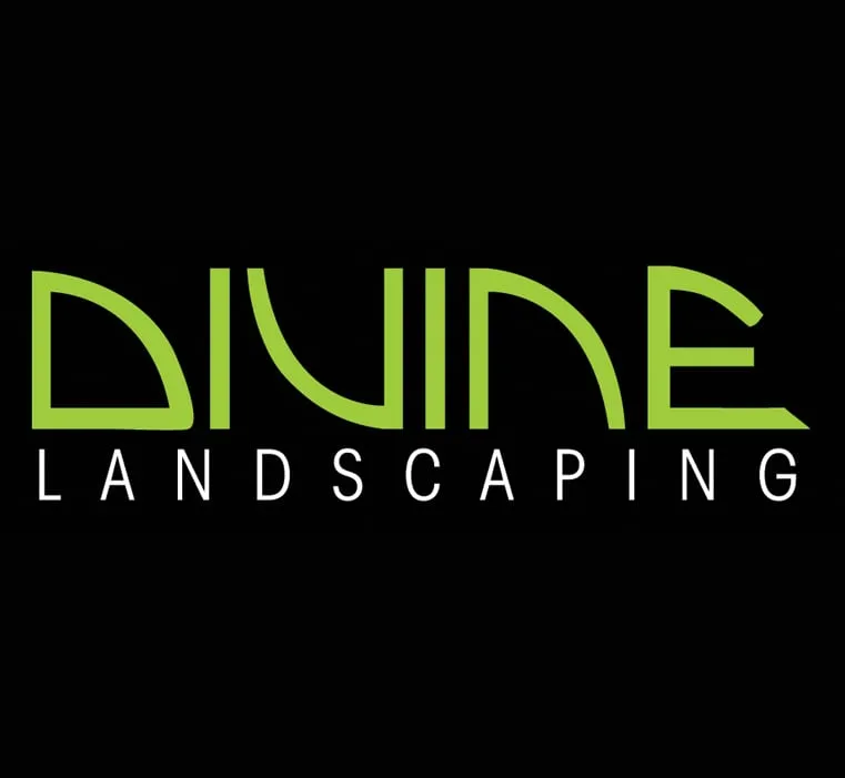 Top-rated yard maintenance in Miami, FL - Divine Landscaping Services