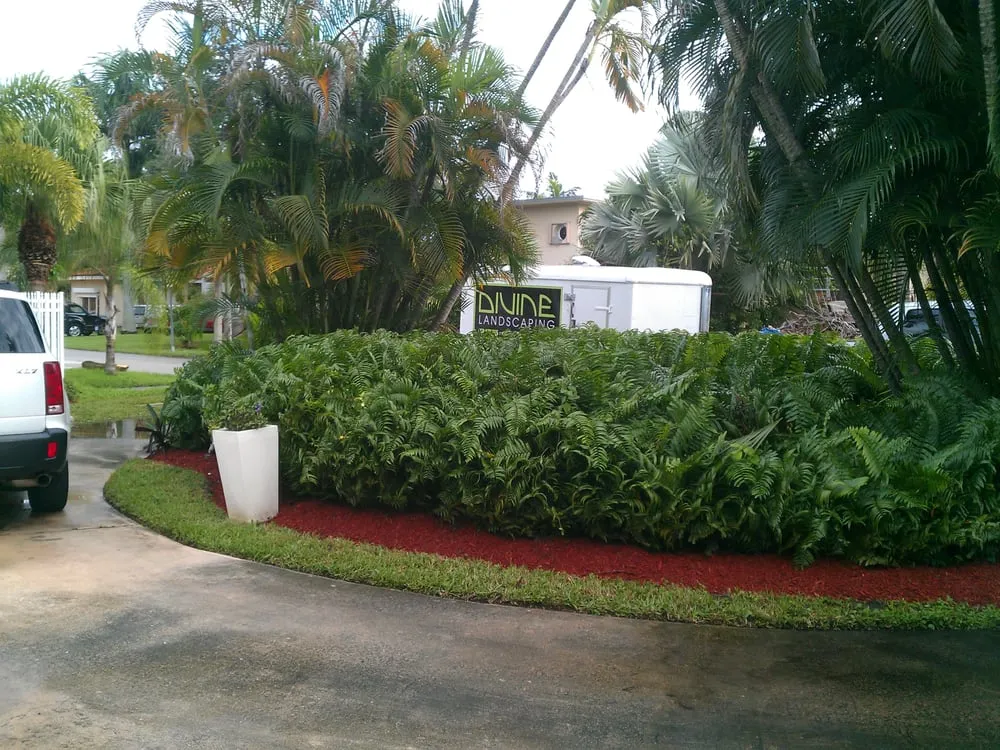Professional garden landscaping experts serving Miami, FL - Divine Landscaping Services