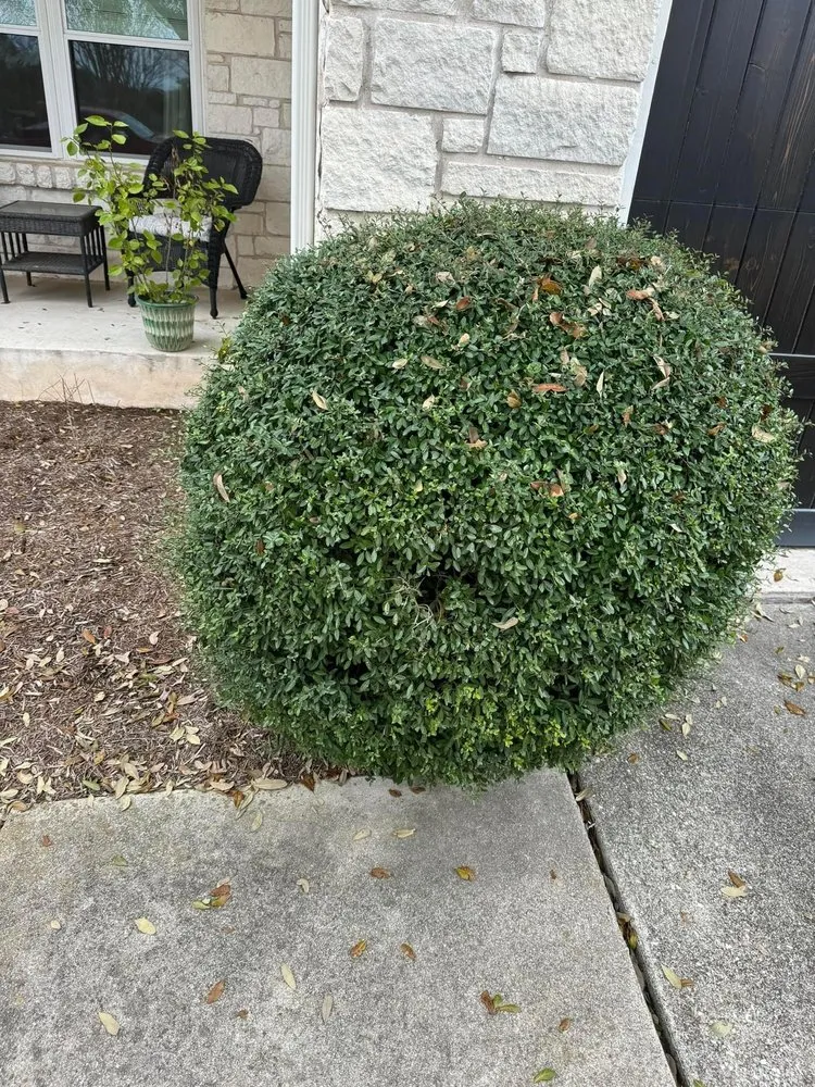 Expert yard cleanup service for residential properties in Stillwater, OK by Divine Landscaping