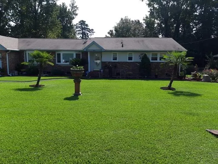 Custom outdoor landscaping in Columbia, SC by Divine Lawn Care Services