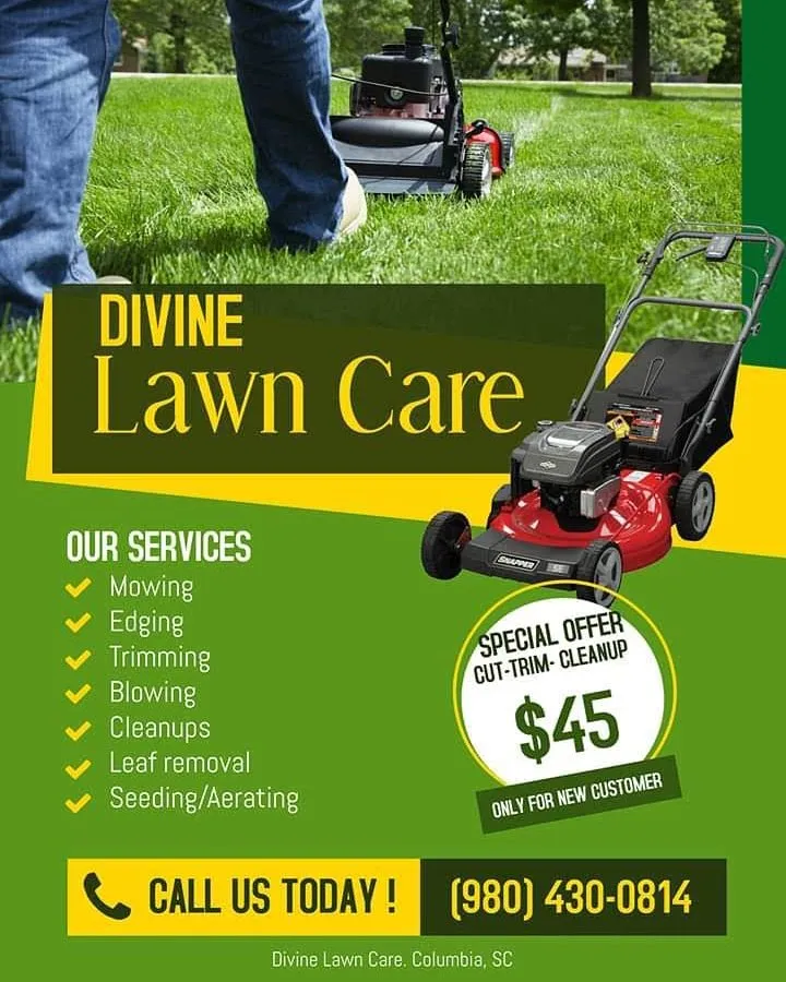 Top-rated yard maintenance in Columbia, SC by Divine Lawn Care Services