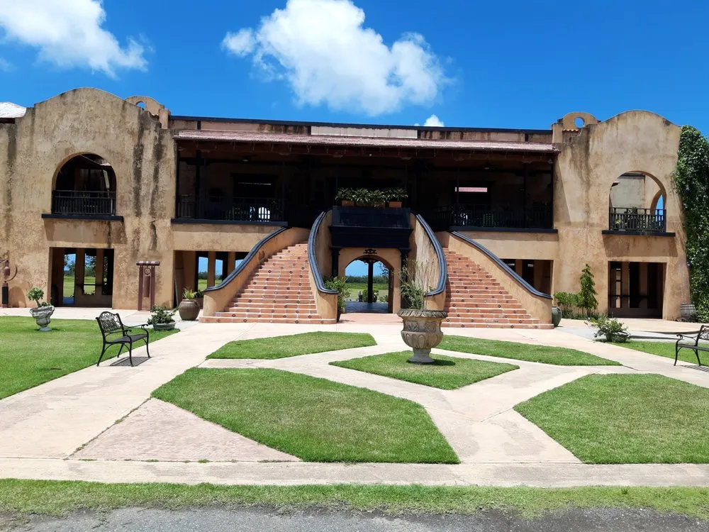 Expert lawn care service for year-round maintenance across Columbia, SC - Divine Lawn Care Services