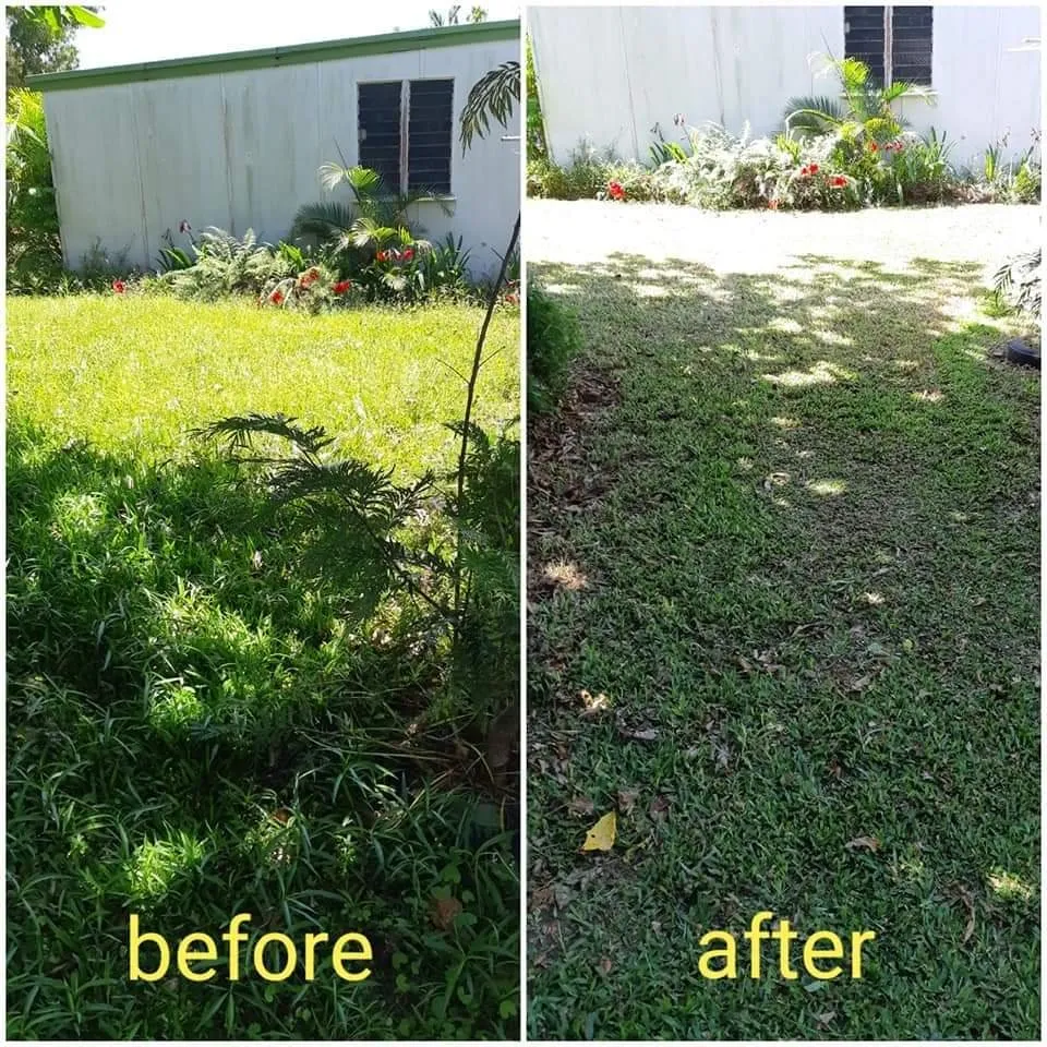 Affordable outdoor landscaping in Columbia, SC by Divine Lawn Care Services