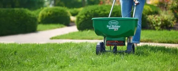 Divine Lawn Care Services Logo