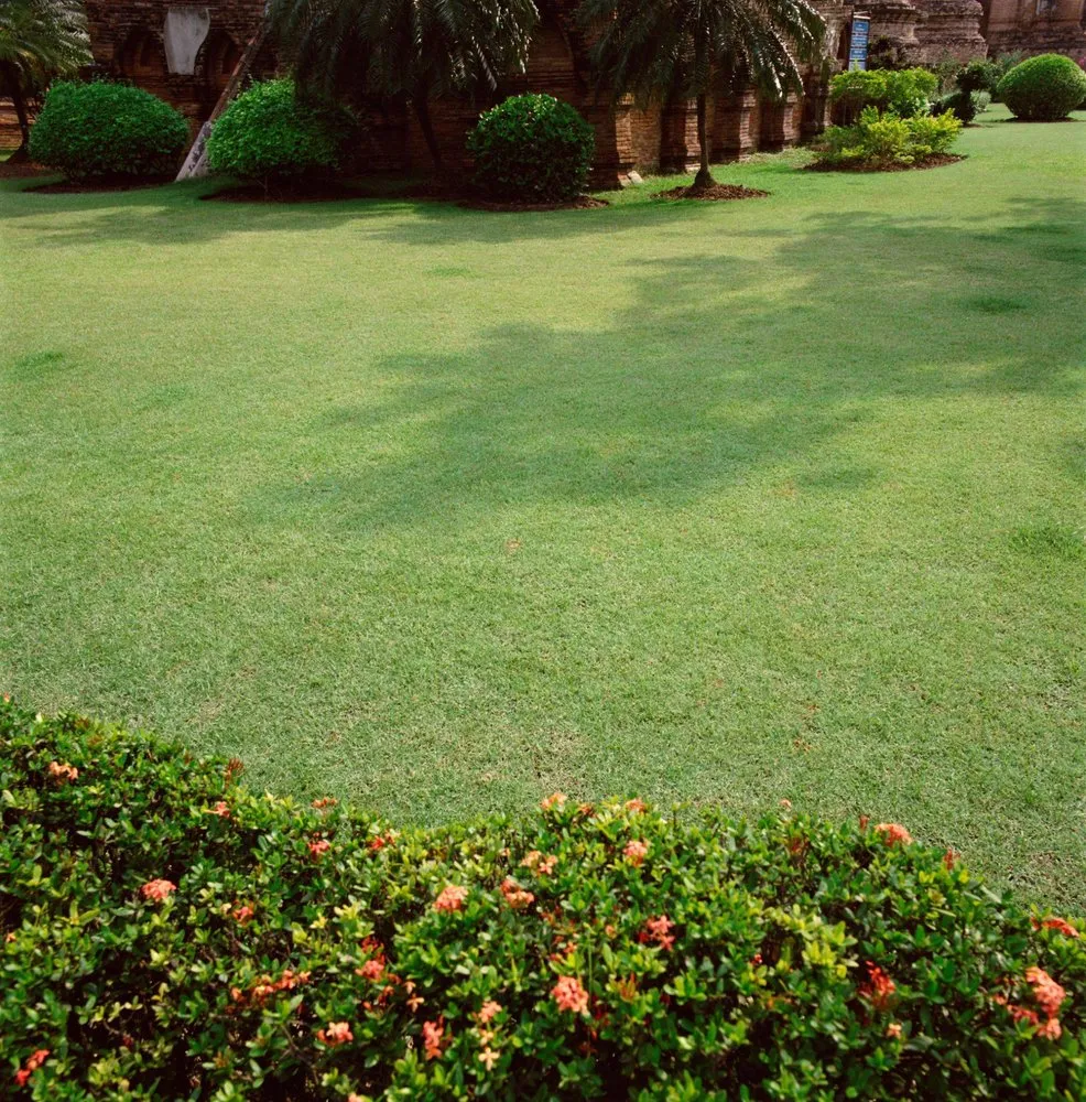 Custom lawn mowing service experts serving Princeton, TX - Divine Lawn Services