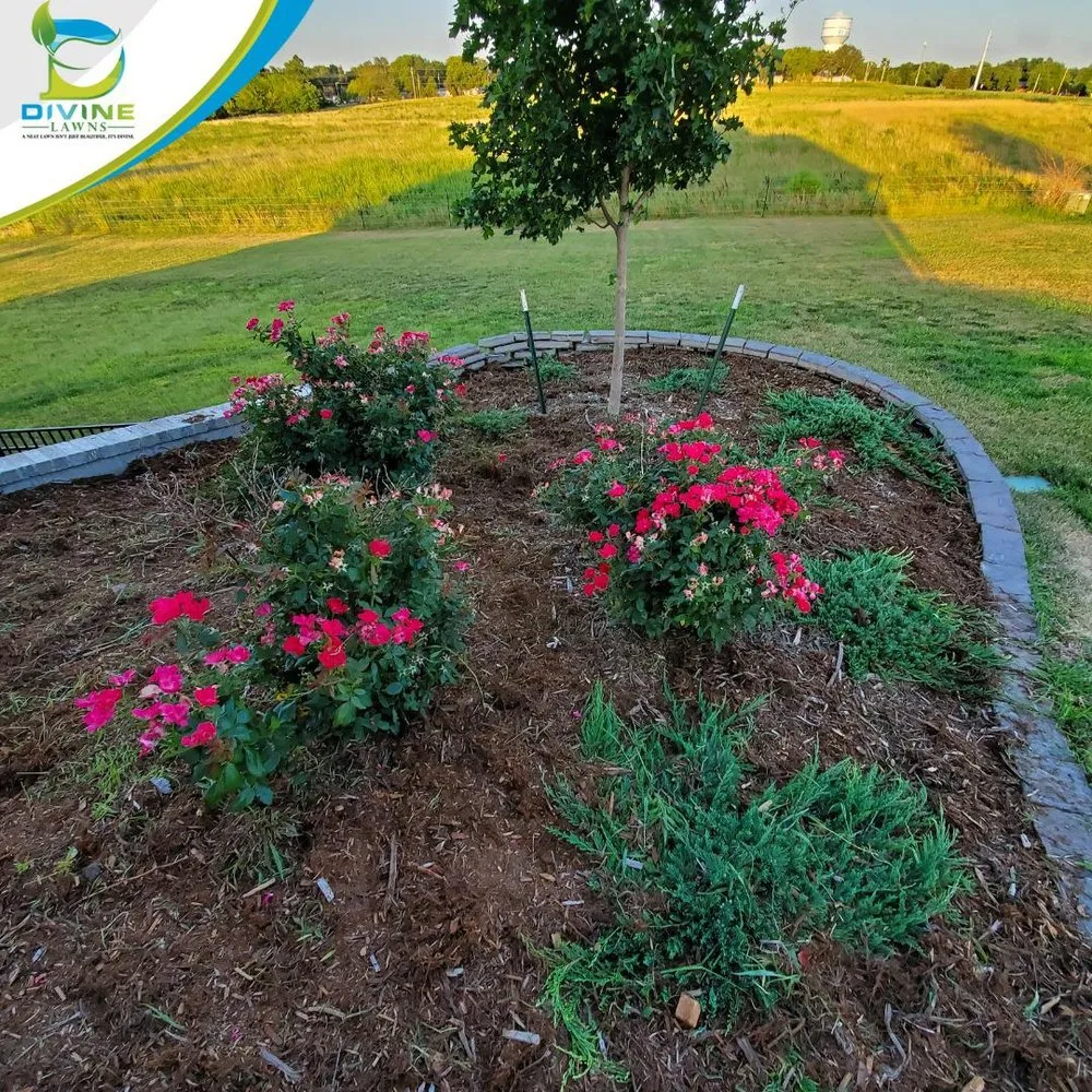 Affordable landscape design experts serving Wichita, KS - Divine Lawns