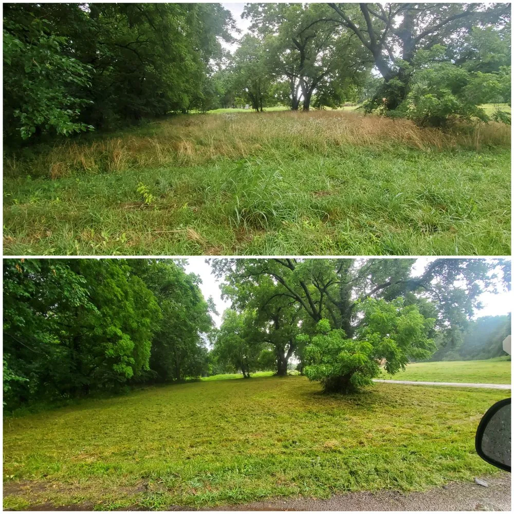 Reliable yard maintenance for residential properties in Wichita, KS by Divine Lawns