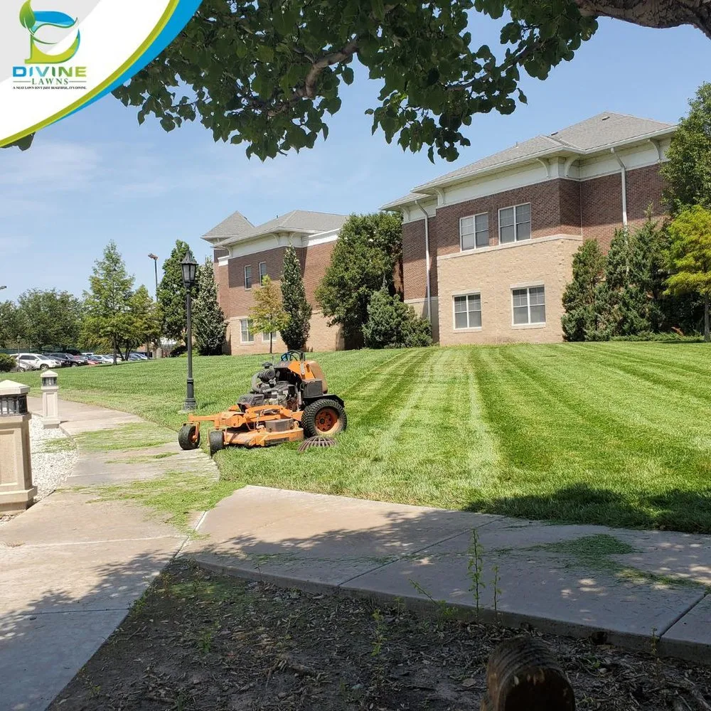 Professional yard cleanup service for year-round maintenance across Wichita, KS - Divine Lawns