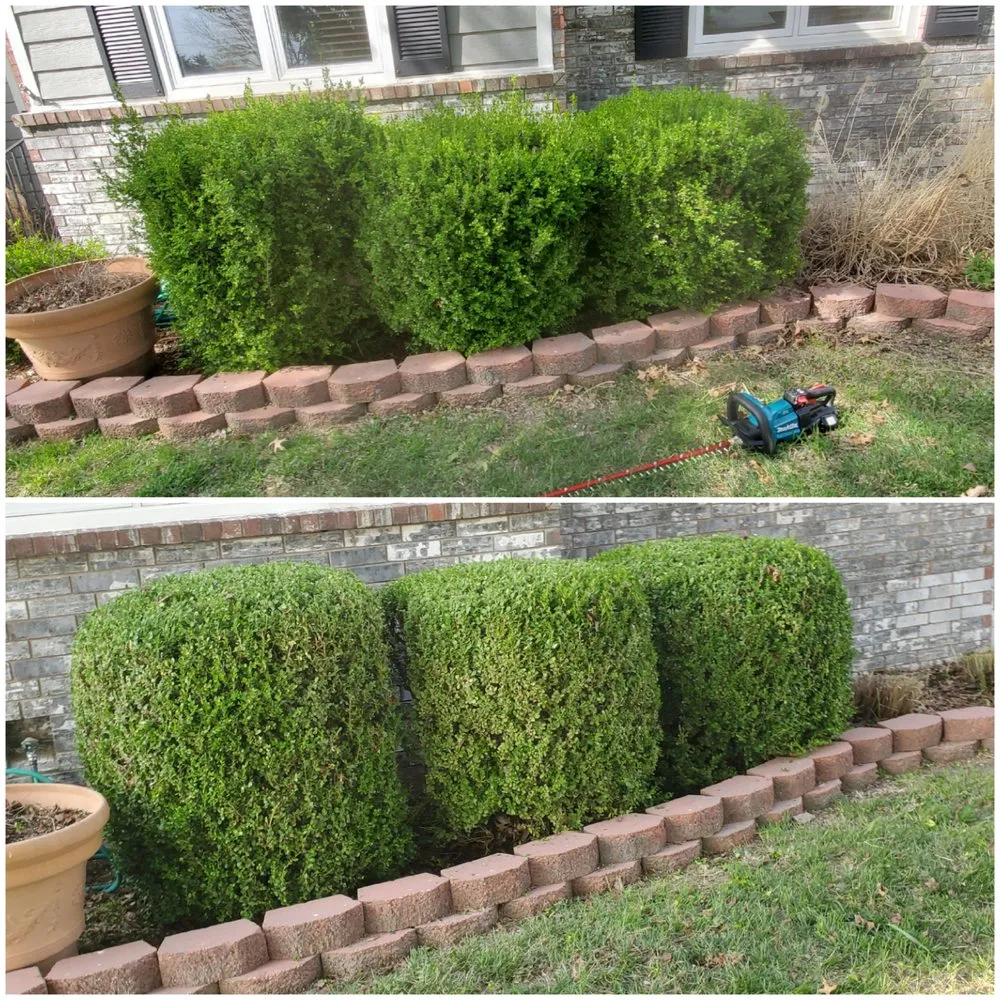 Custom yard maintenance in Wichita, KS by Divine Lawns