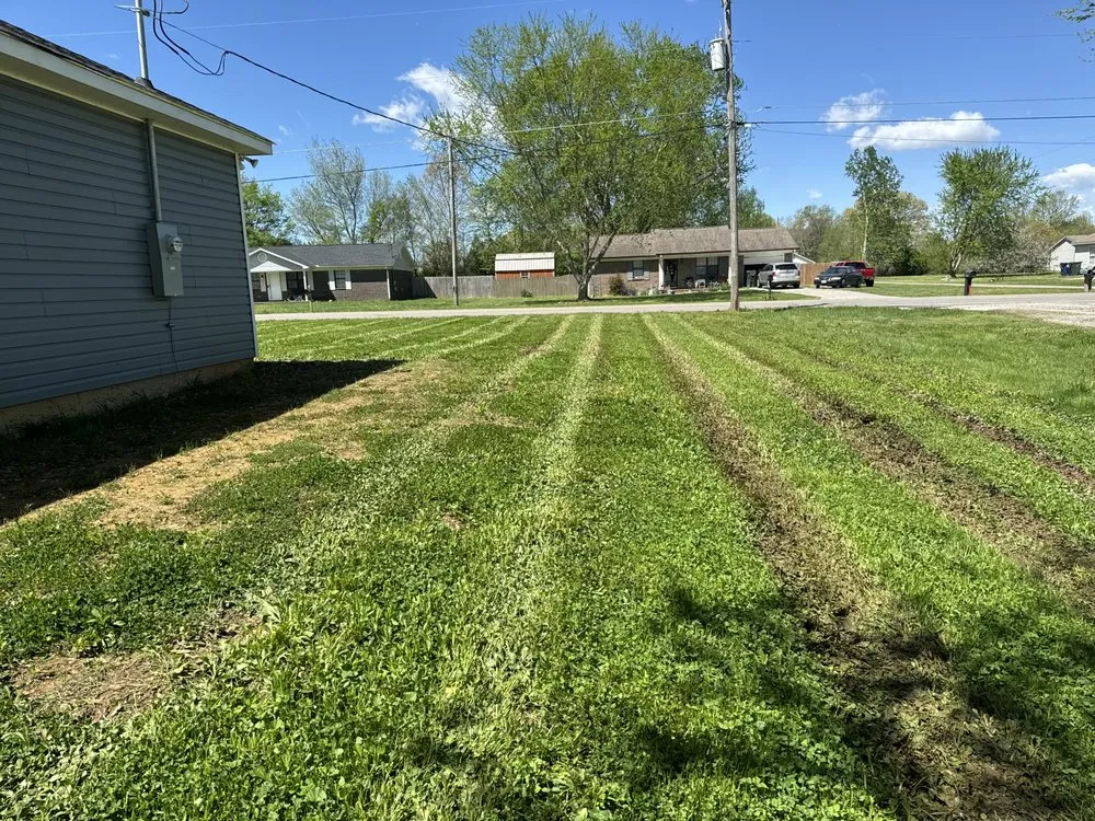 Affordable yard cleanup service in Hazel Green, AL by Divine Lines