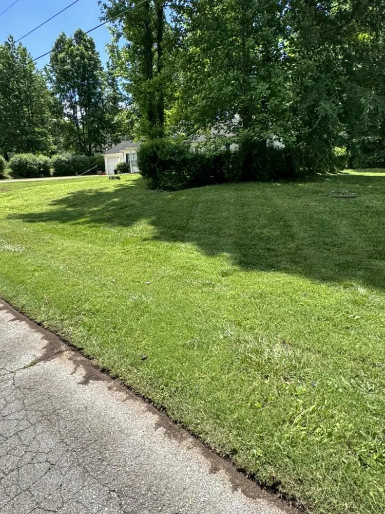 Top-rated landscape installation experts serving Hazel Green, AL - Divine Lines