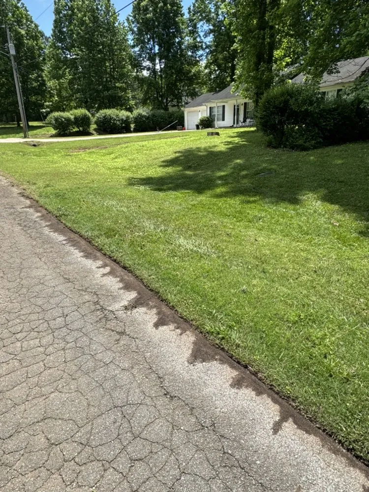 Custom lawn care service experts serving Hazel Green, AL - Divine Lines