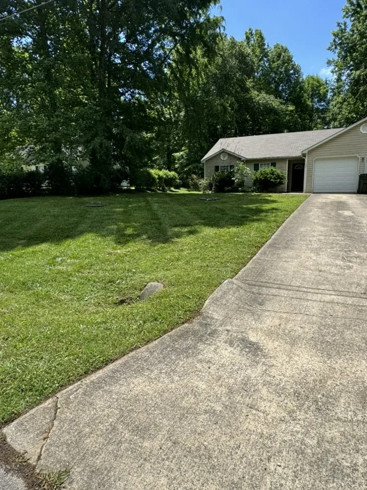 Affordable landscape design experts serving Hazel Green, AL - Divine Lines