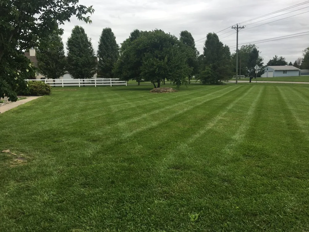 Custom yard maintenance experts serving Hazel Green, AL - Divine Lines