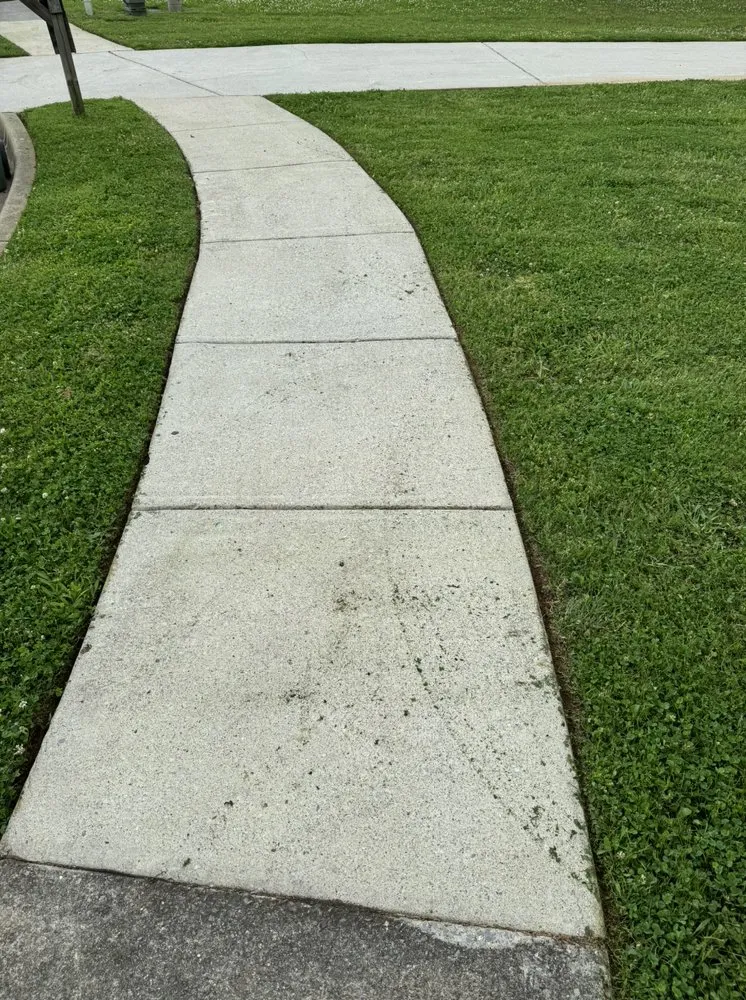 Custom yard maintenance in Hazel Green, AL by Divine Lines