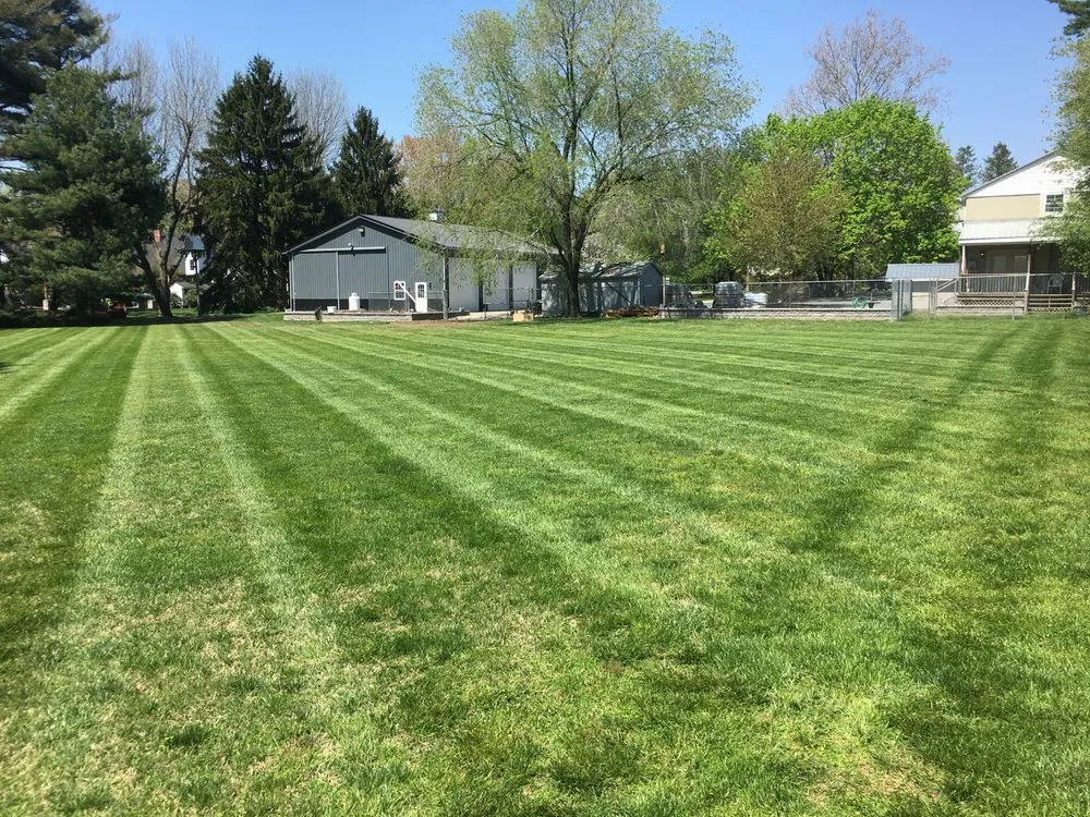 Trusted lawn mowing service near you in Hazel Green, AL by Divine Lines