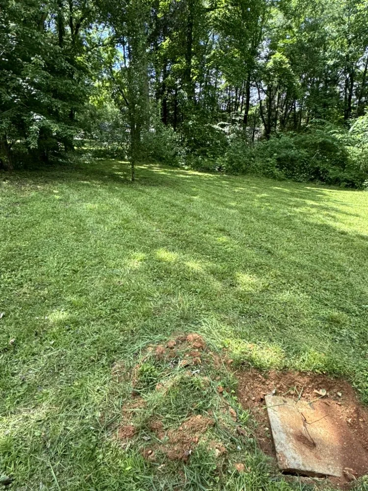 Local yard cleanup service with custom design in Hazel Green, AL by Divine Lines