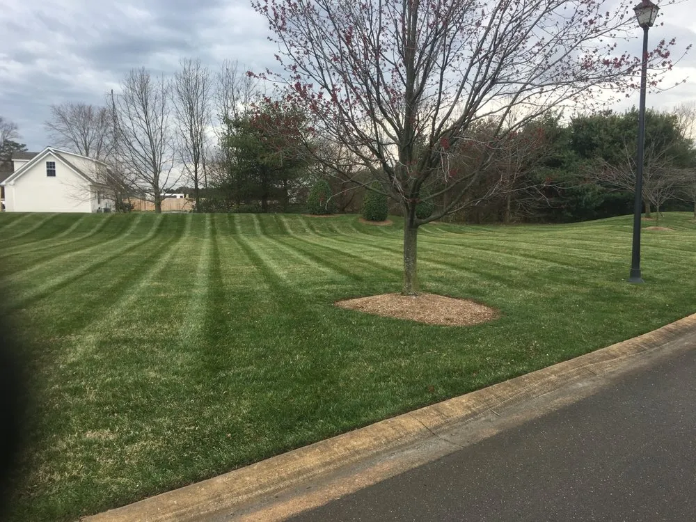 Top-rated yard maintenance with custom design across Hazel Green, AL - Divine Lines