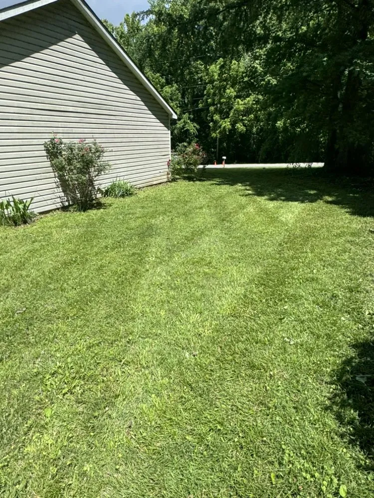 Top-rated yard cleanup service in Hazel Green, AL - Divine Lines