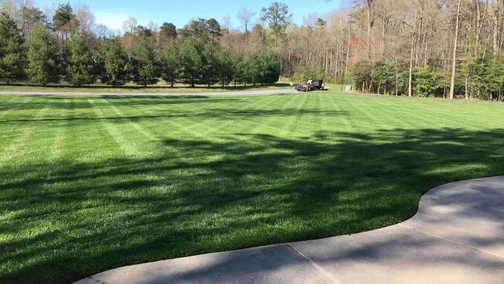 Trusted yard cleanup service for beautiful yards in Hazel Green, AL by Divine Lines